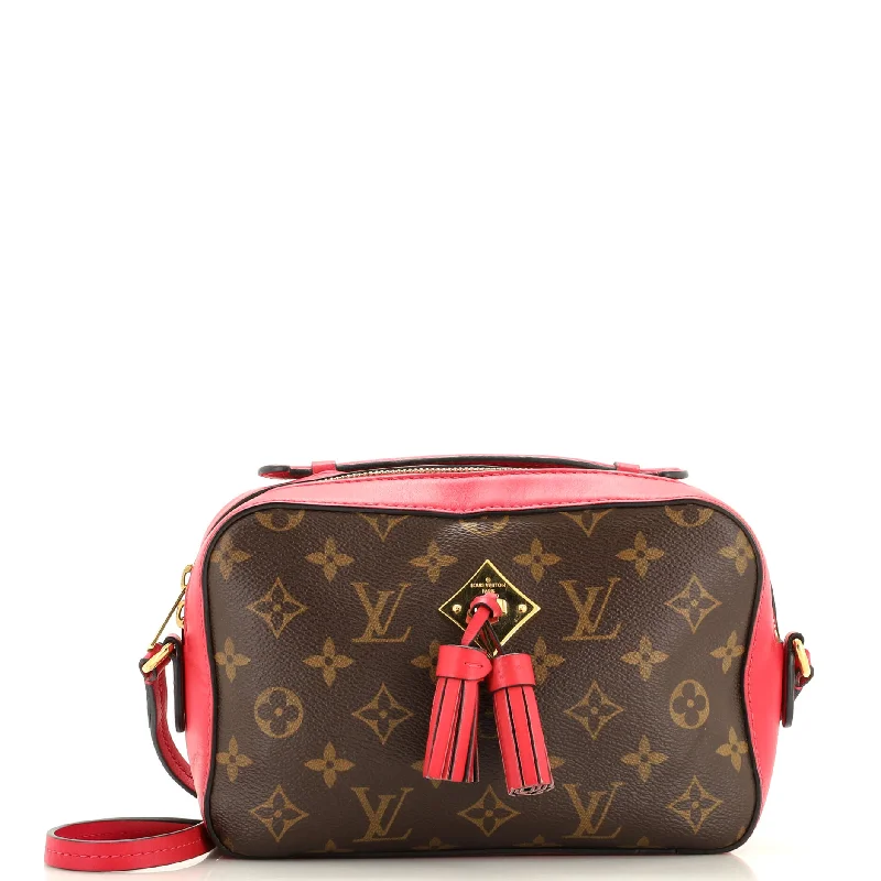 Saintonge Handbag Monogram Canvas with Leather